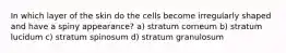 In which layer of the skin do the cells become irregularly shaped and have a spiny appearance? a) stratum corneum b) stratum lucidum c) stratum spinosum d) stratum granulosum