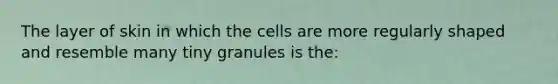 The layer of skin in which the cells are more regularly shaped and resemble many tiny granules is the: