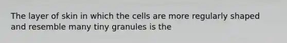 The layer of skin in which the cells are more regularly shaped and resemble many tiny granules is the