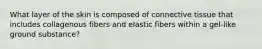 What layer of the skin is composed of connective tissue that includes collagenous fibers and elastic fibers within a gel-like ground substance?