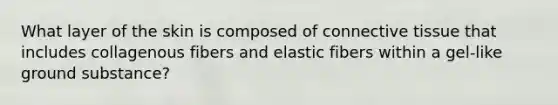 What layer of the skin is composed of connective tissue that includes collagenous fibers and elastic fibers within a gel-like ground substance?