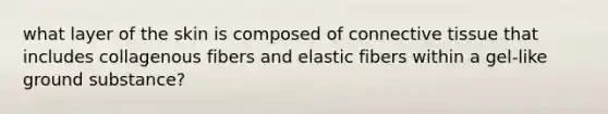 what layer of the skin is composed of connective tissue that includes collagenous fibers and elastic fibers within a gel-like ground substance?