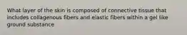 What layer of the skin is composed of connective tissue that includes collagenous fibers and elastic fibers within a gel like ground substance