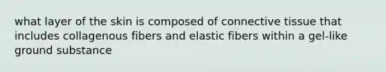 what layer of the skin is composed of connective tissue that includes collagenous fibers and elastic fibers within a gel-like ground substance