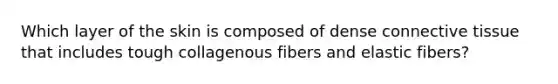 Which layer of the skin is composed of dense connective tissue that includes tough collagenous fibers and elastic fibers?