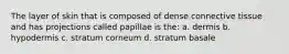 The layer of skin that is composed of dense connective tissue and has projections called papillae is the: a. dermis b. hypodermis c. stratum corneum d. stratum basale