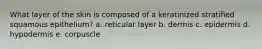 What layer of the skin is composed of a keratinized stratified squamous epithelium? a. reticular layer b. dermis c. epidermis d. hypodermis e. corpuscle