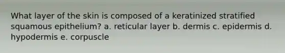 What layer of the skin is composed of a keratinized stratified squamous epithelium? a. reticular layer b. dermis c. epidermis d. hypodermis e. corpuscle