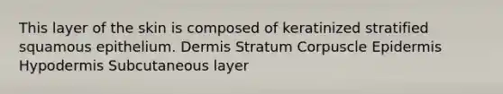 This layer of the skin is composed of keratinized stratified squamous epithelium. Dermis Stratum Corpuscle Epidermis Hypodermis Subcutaneous layer