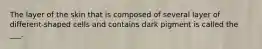 The layer of the skin that is composed of several layer of different-shaped cells and contains dark pigment is called the ___.