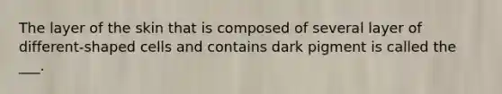 The layer of the skin that is composed of several layer of different-shaped cells and contains dark pigment is called the ___.