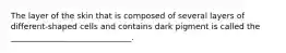 The layer of the skin that is composed of several layers of different-shaped cells and contains dark pigment is called the ______________________________.