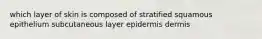 which layer of skin is composed of stratified squamous epithelium subcutaneous layer epidermis dermis