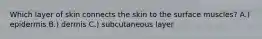 Which layer of skin connects the skin to the surface muscles? A.) epidermis B.) dermis C.) subcutaneous layer