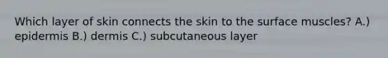 Which layer of skin connects the skin to the surface muscles? A.) epidermis B.) dermis C.) subcutaneous layer