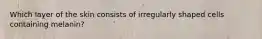 Which layer of the skin consists of irregularly shaped cells containing melanin?
