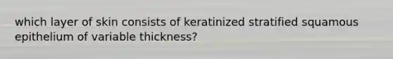 which layer of skin consists of keratinized stratified squamous epithelium of variable thickness?