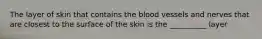 The layer of skin that contains the blood vessels and nerves that are closest to the surface of the skin is the __________ layer