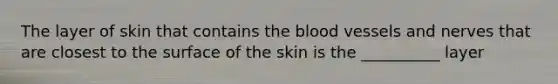 The layer of skin that contains <a href='https://www.questionai.com/knowledge/k7oXMfj7lk-the-blood' class='anchor-knowledge'>the blood</a> vessels and nerves that are closest to the surface of the skin is the __________ layer