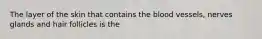 The layer of the skin that contains the blood vessels, nerves glands and hair follicles is the