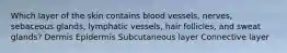 Which layer of the skin contains blood vessels, nerves, sebaceous glands, lymphatic vessels, hair follicles, and sweat glands? Dermis Epidermis Subcutaneous layer Connective layer