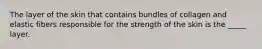 The layer of the skin that contains bundles of collagen and elastic fibers responsible for the strength of the skin is the _____ layer.