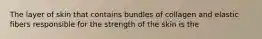 The layer of skin that contains bundles of collagen and elastic fibers responsible for the strength of the skin is the