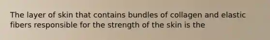 The layer of skin that contains bundles of collagen and elastic fibers responsible for the strength of the skin is the