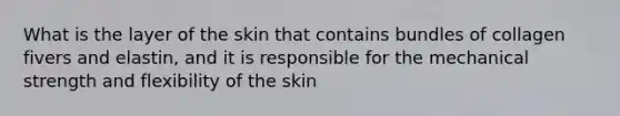 What is the layer of the skin that contains bundles of collagen fivers and elastin, and it is responsible for the mechanical strength and flexibility of the skin