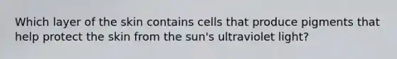 Which layer of the skin contains cells that produce pigments that help protect the skin from the sun's ultraviolet light?