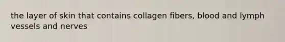 the layer of skin that contains collagen fibers, blood and lymph vessels and nerves