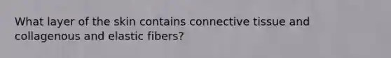 What layer of the skin contains connective tissue and collagenous and elastic fibers?