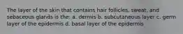 The layer of the skin that contains hair follicles, sweat, and sebaceous glands is the: a. dermis b. subcutaneous layer c. germ layer of the epidermis d. basal layer of the epidermis