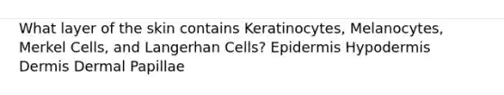 What layer of the skin contains Keratinocytes, Melanocytes, Merkel Cells, and Langerhan Cells? Epidermis Hypodermis Dermis Dermal Papillae