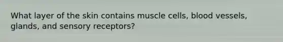 What layer of the skin contains muscle cells, blood vessels, glands, and sensory receptors?