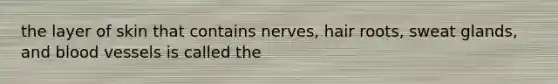 the layer of skin that contains nerves, hair roots, sweat glands, and blood vessels is called the