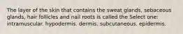 The layer of the skin that contains the sweat glands, sebaceous glands, hair follicles and nail roots is called the Select one: intramuscular. hypodermis. dermis. subcutaneous. epidermis.