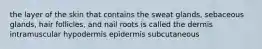 the layer of the skin that contains the sweat glands, sebaceous glands, hair follicles, and nail roots is called the dermis intramuscular hypodermis epidermis subcutaneous