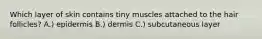 Which layer of skin contains tiny muscles attached to the hair follicles? A.) epidermis B.) dermis C.) subcutaneous layer