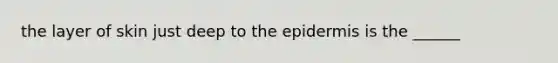 the layer of skin just deep to <a href='https://www.questionai.com/knowledge/kBFgQMpq6s-the-epidermis' class='anchor-knowledge'>the epidermis</a> is the ______