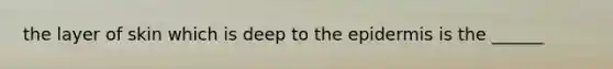 the layer of skin which is deep to the epidermis is the ______
