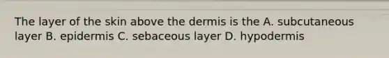 The layer of the skin above the dermis is the A. subcutaneous layer B. epidermis C. sebaceous layer D. hypodermis