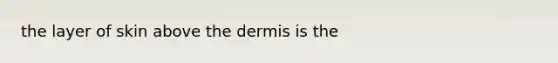 the layer of skin above <a href='https://www.questionai.com/knowledge/kEsXbG6AwS-the-dermis' class='anchor-knowledge'>the dermis</a> is the