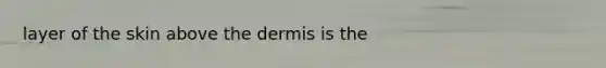 layer of the skin above <a href='https://www.questionai.com/knowledge/kEsXbG6AwS-the-dermis' class='anchor-knowledge'>the dermis</a> is the