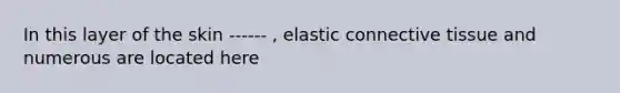 In this layer of the skin ------ , elastic connective tissue and numerous are located here