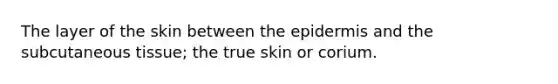 The layer of the skin between the epidermis and the subcutaneous tissue; the true skin or corium.