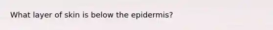 What layer of skin is below <a href='https://www.questionai.com/knowledge/kBFgQMpq6s-the-epidermis' class='anchor-knowledge'>the epidermis</a>?