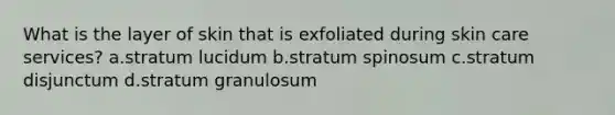 What is the layer of skin that is exfoliated during skin care services? a.stratum lucidum b.stratum spinosum c.stratum disjunctum d.stratum granulosum