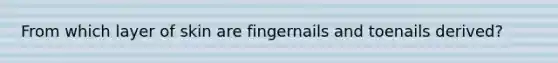 From which layer of skin are fingernails and toenails derived?
