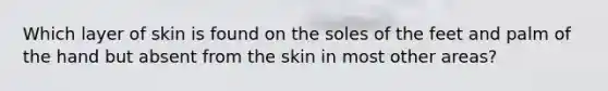 Which layer of skin is found on the soles of the feet and palm of the hand but absent from the skin in most other areas?